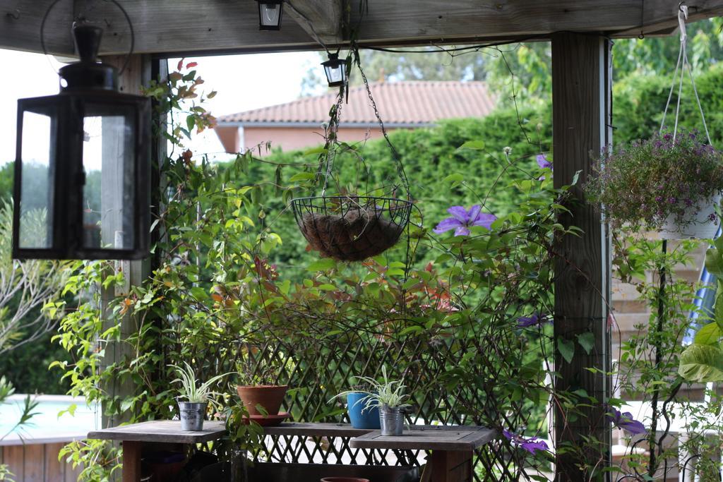 Calme Et Nature, Ba Otel Gujan-Mestras Oda fotoğraf