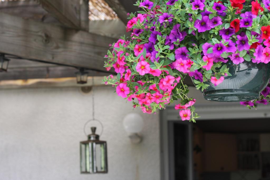 Calme Et Nature, Ba Otel Gujan-Mestras Oda fotoğraf
